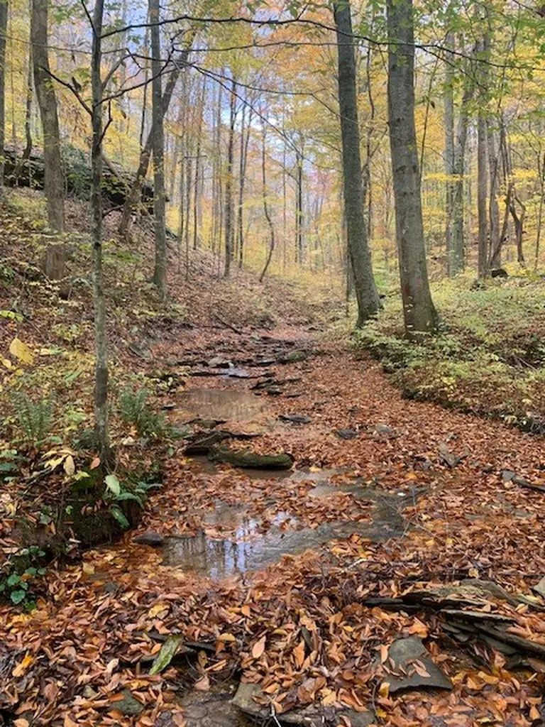 215 Roughshod Lane Hilham TN 38568