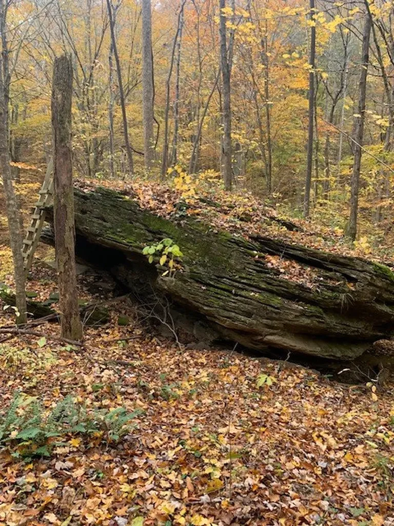 215 Roughshod Lane Hilham TN 38568