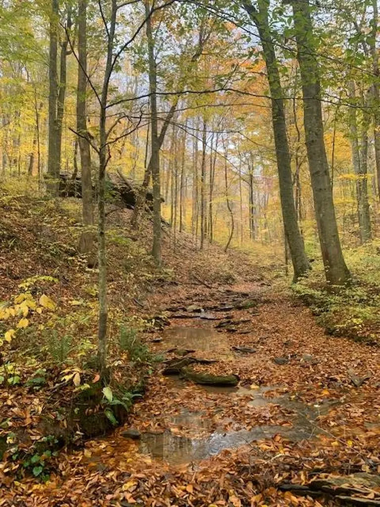 215 Roughshod Lane Hilham TN 38568