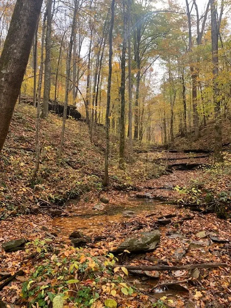 215 Roughshod Lane Hilham TN 38568