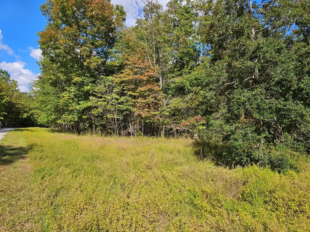 00 Holly Lane Spencer TN 38585