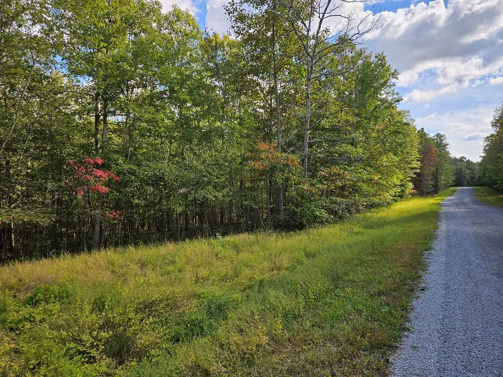 00 Holly Lane Spencer TN 38585