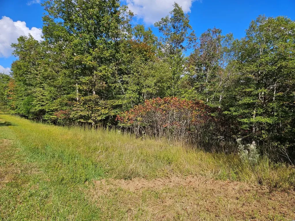 00 Holly Lane Spencer TN 38585