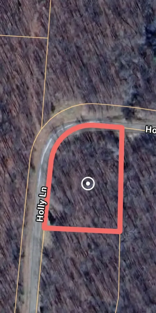 00 Holly Lane Spencer TN 38585