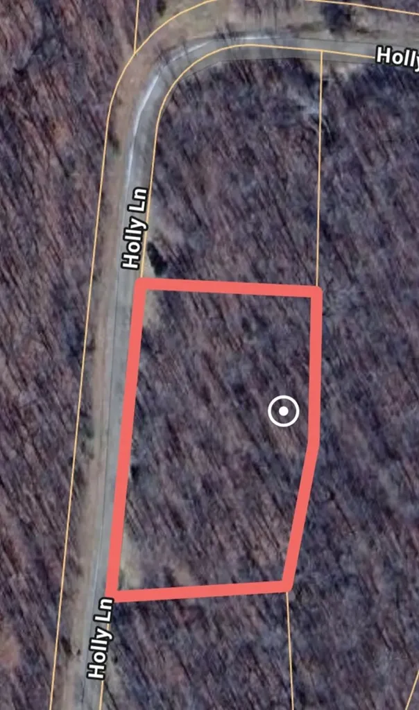 00 Holly Lane Spencer TN 38585