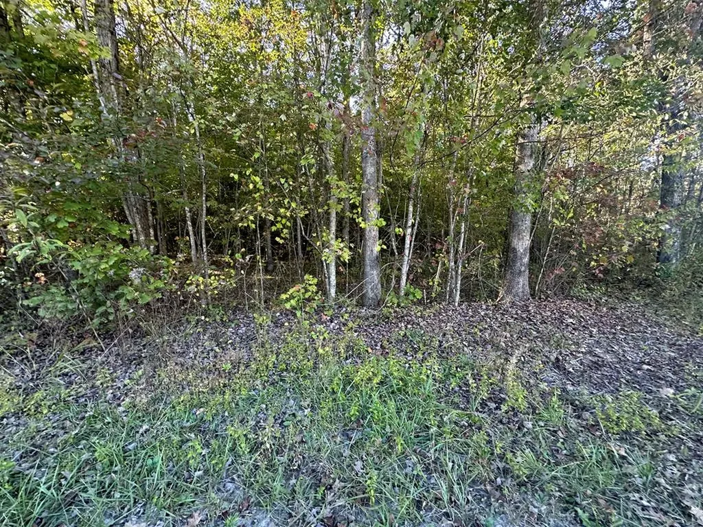 0 Falling Leaf Road Jamestown TN 38556