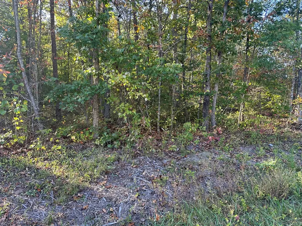 0 Falling Leaf Road Jamestown TN 38556