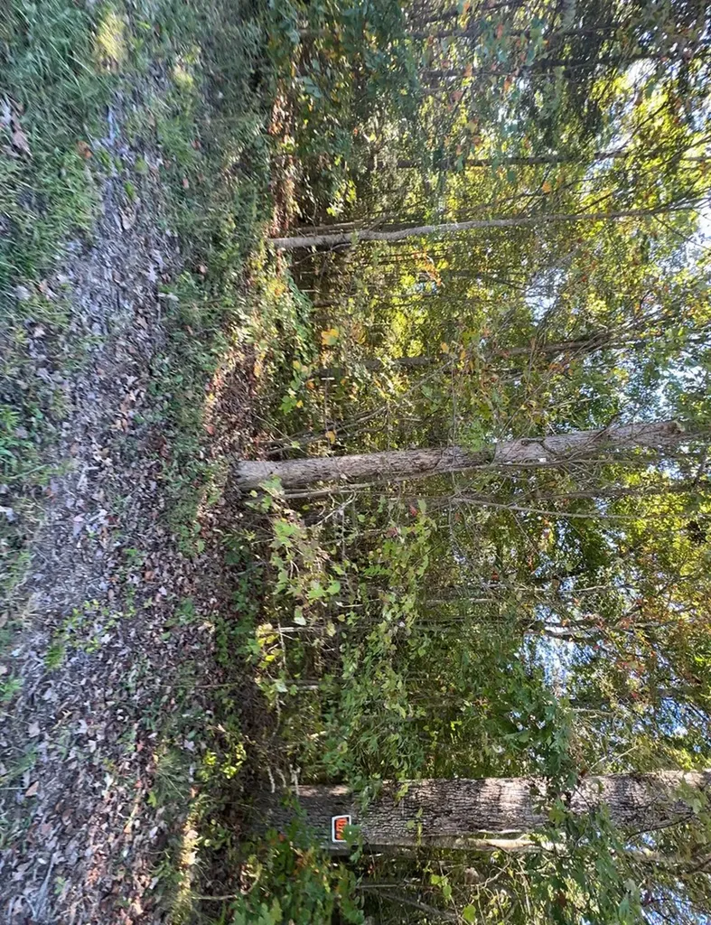 0 Falling Leaf Road Jamestown TN 38556