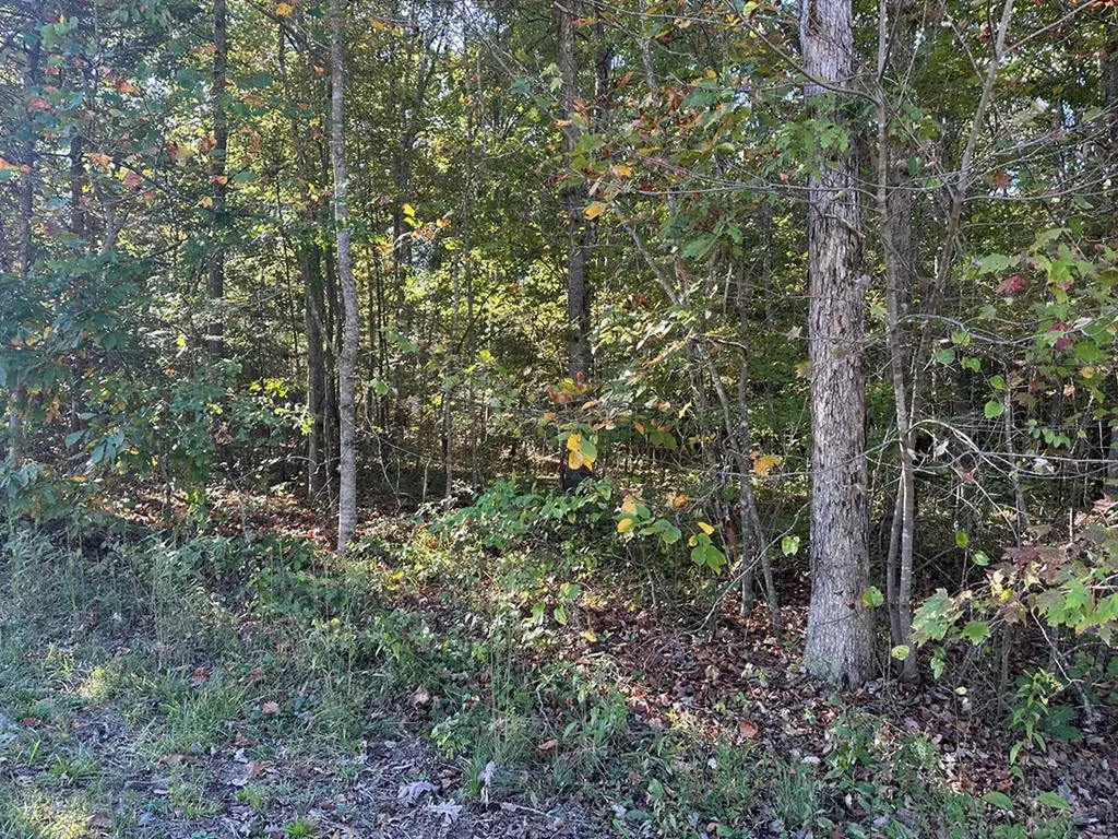 0 Falling Leaf Road Jamestown TN 38556