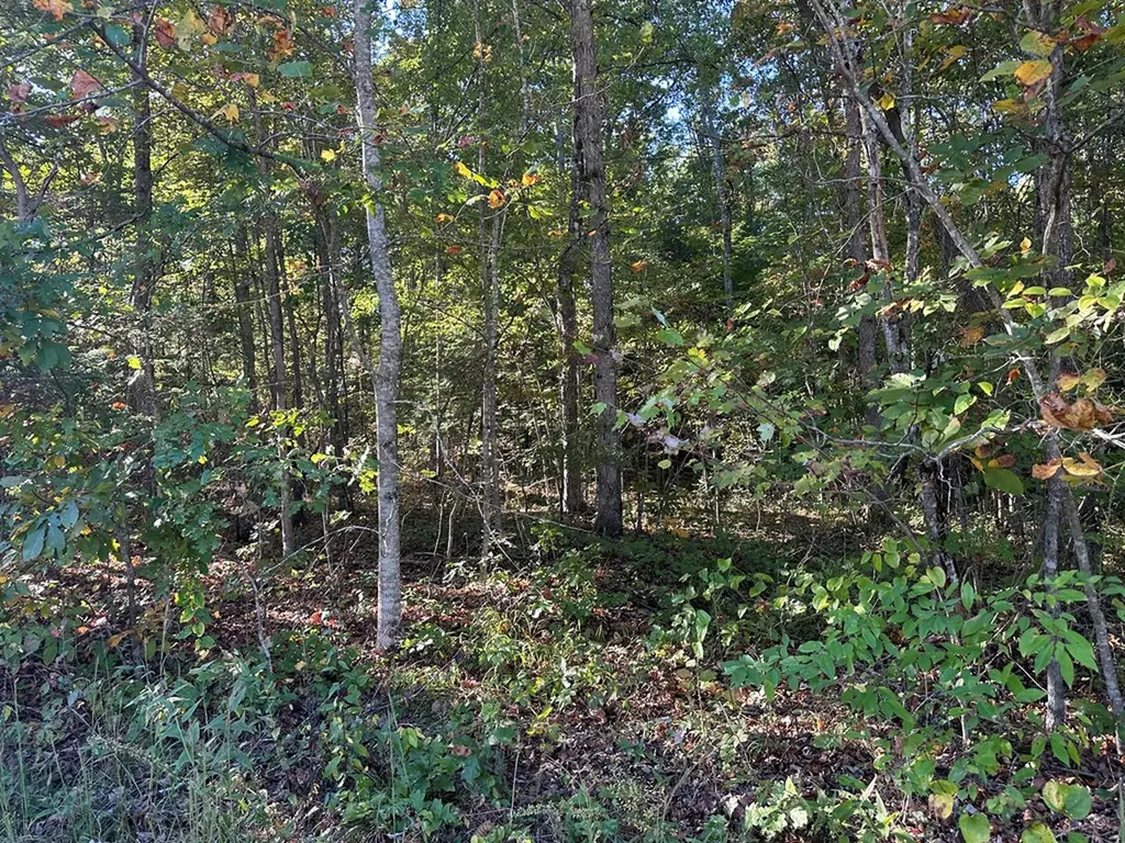 0 Falling Leaf Road Jamestown TN 38556