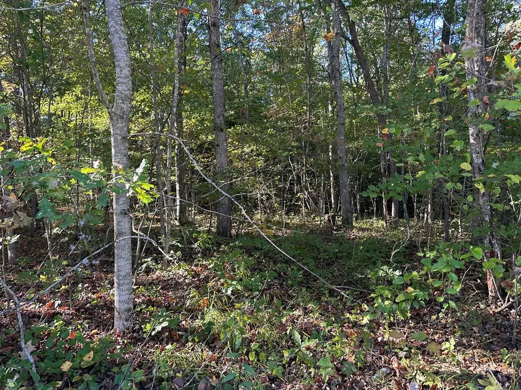 0 Falling Leaf Road Jamestown TN 38556