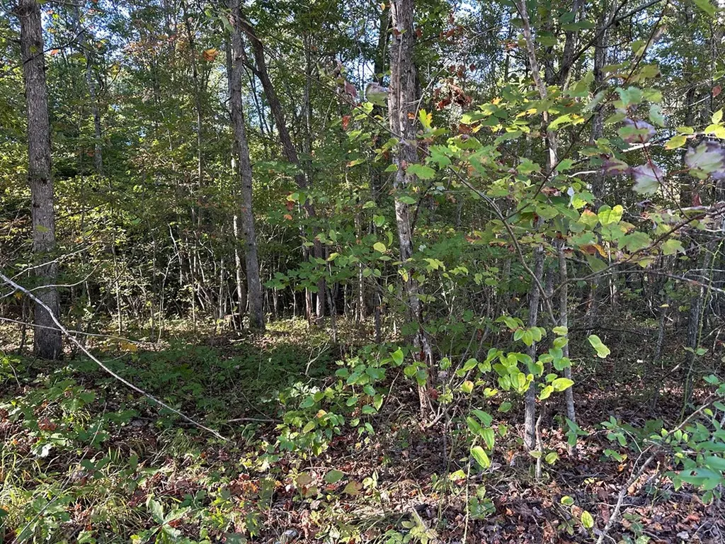 0 Falling Leaf Road Jamestown TN 38556