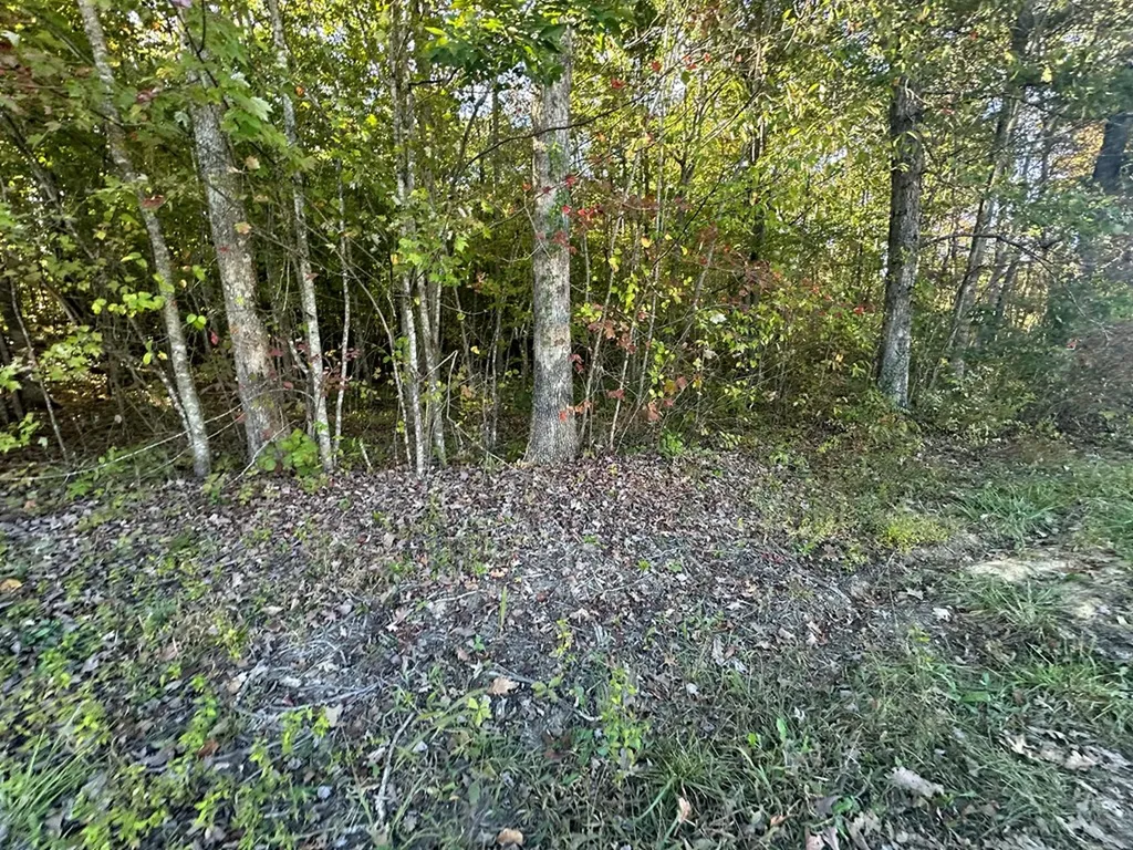 0 Falling Leaf Road Jamestown TN 38556