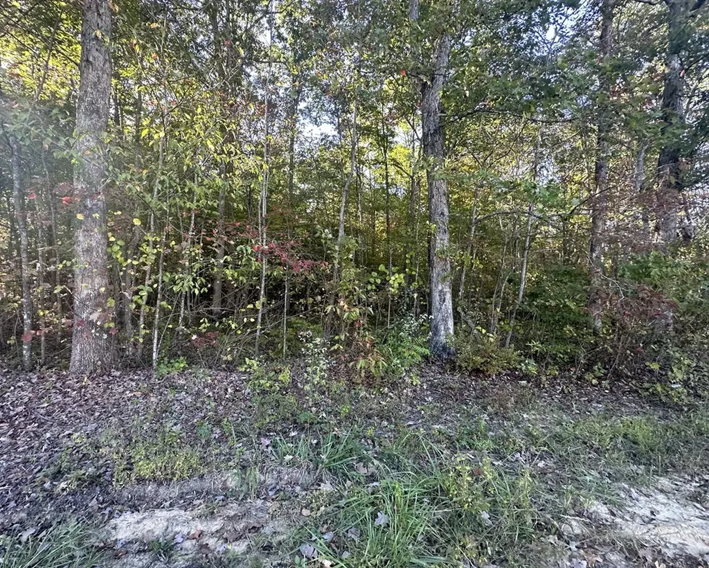 0 Falling Leaf Road Jamestown TN 38556