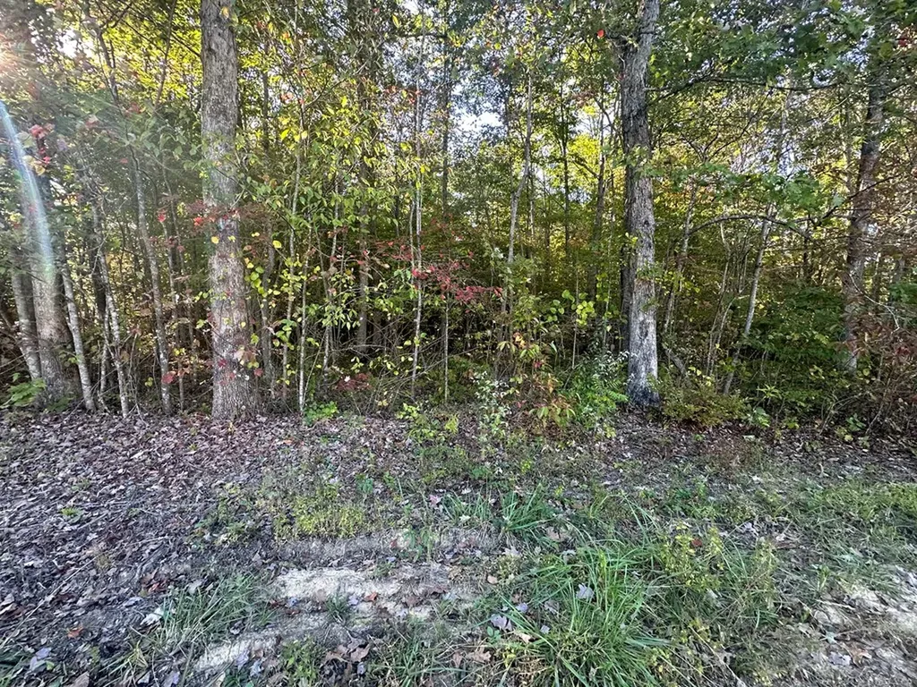0 Falling Leaf Road Jamestown TN 38556