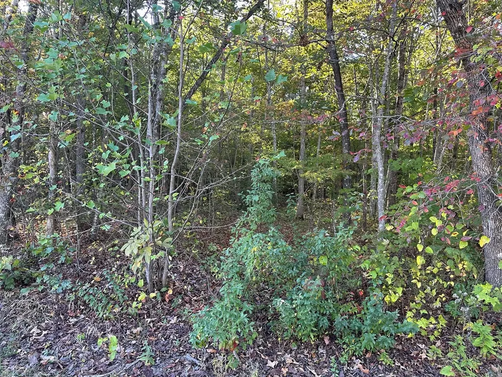 0 Falling Leaf Road Jamestown TN 38556