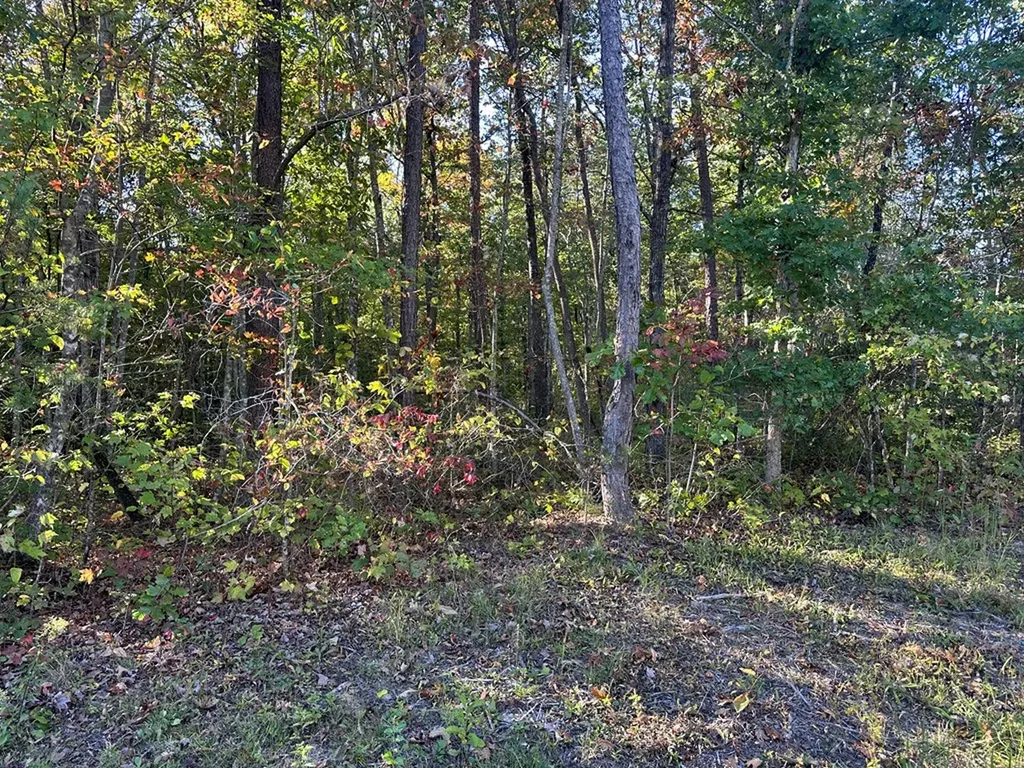 0 Falling Leaf Road Jamestown TN 38556