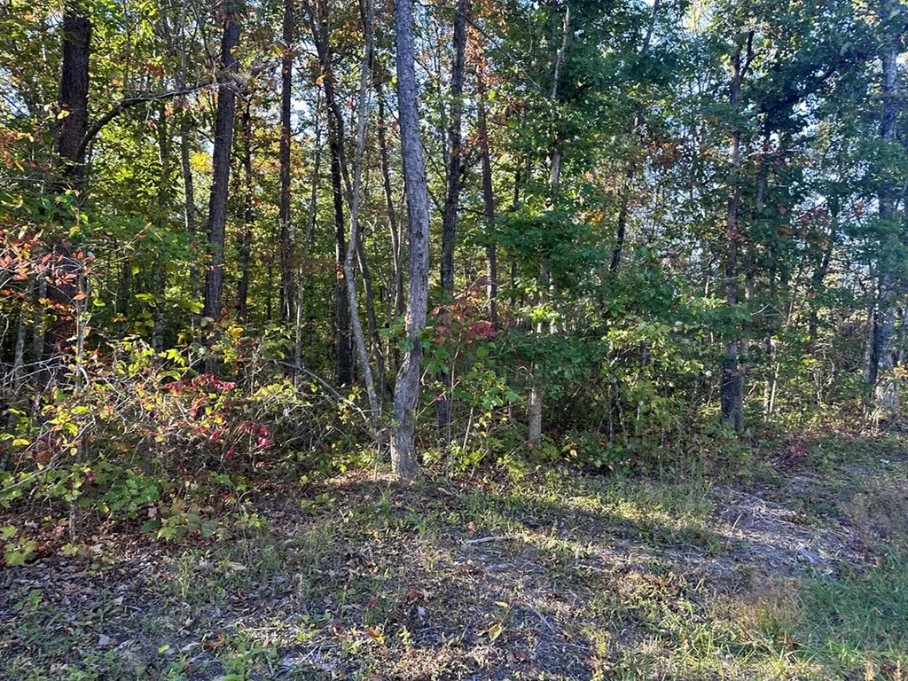 0 Falling Leaf Road Jamestown TN 38556