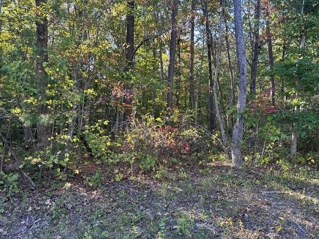 0 Falling Leaf Road Jamestown TN 38556