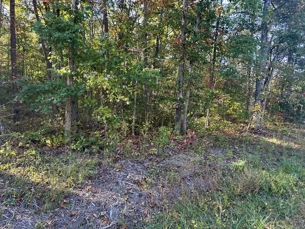 0 Falling Leaf Road Jamestown TN 38556