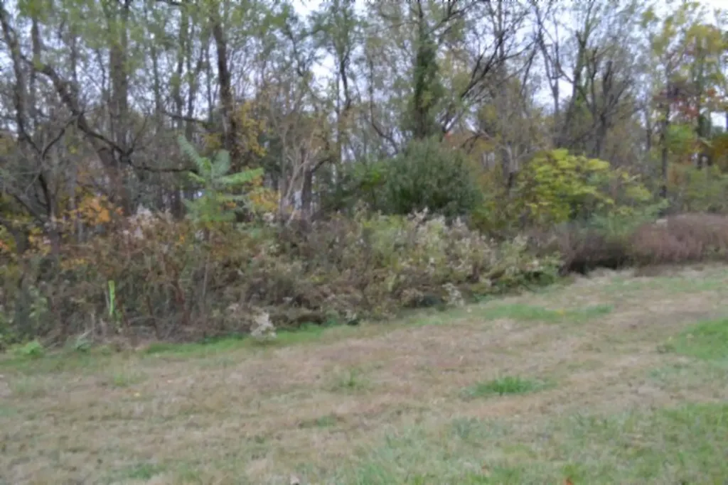 10.70AC Red Oak Ridge Road Celina TN 38551