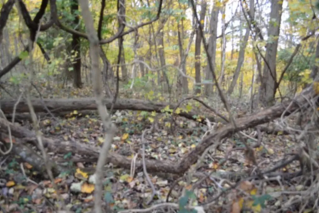 10.70AC Red Oak Ridge Road Celina TN 38551