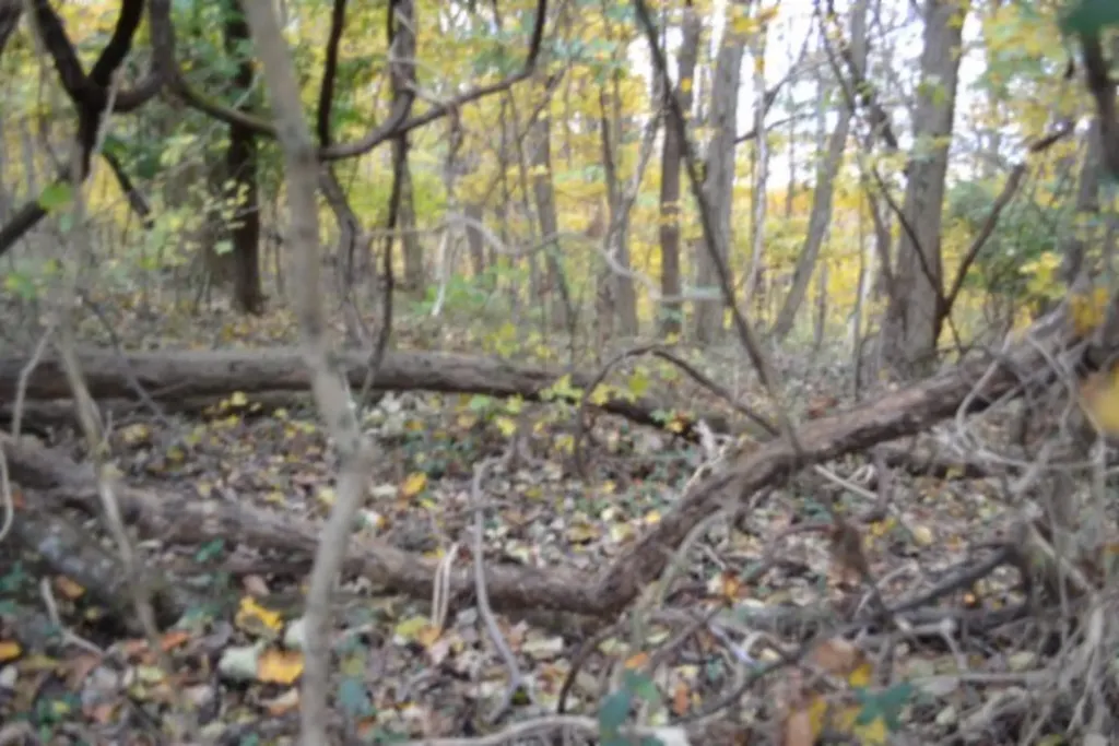 10.70AC Red Oak Ridge Road Celina TN 38551