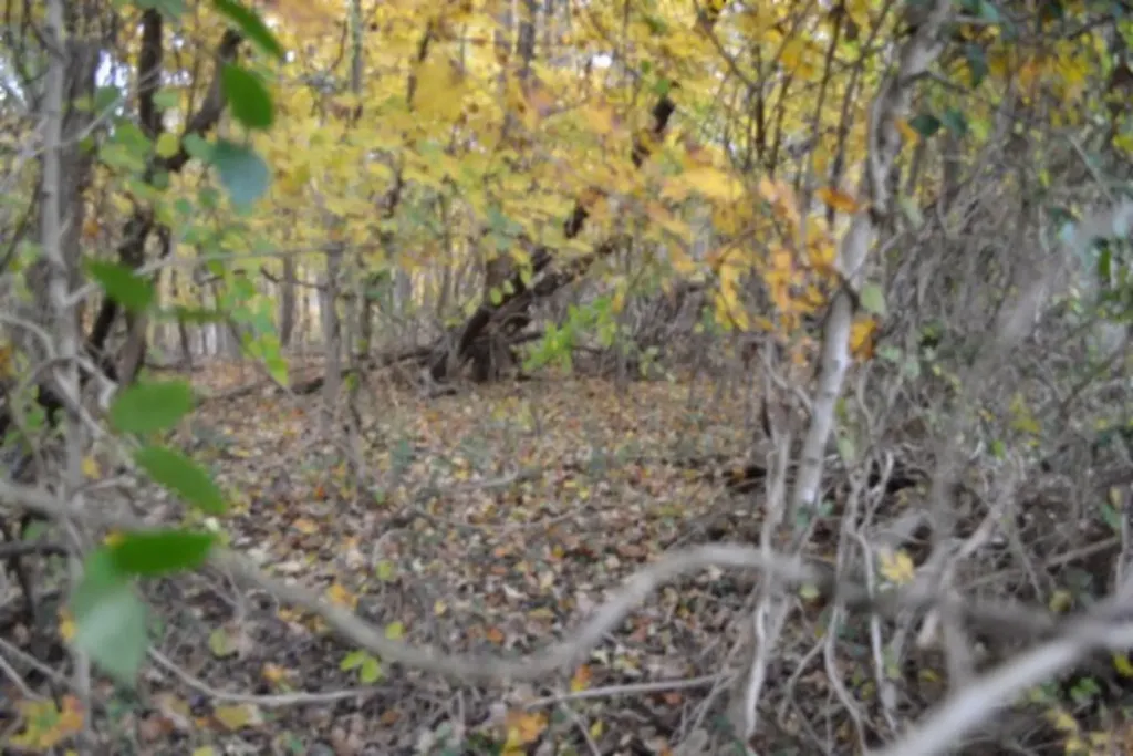 10.70AC Red Oak Ridge Road Celina TN 38551