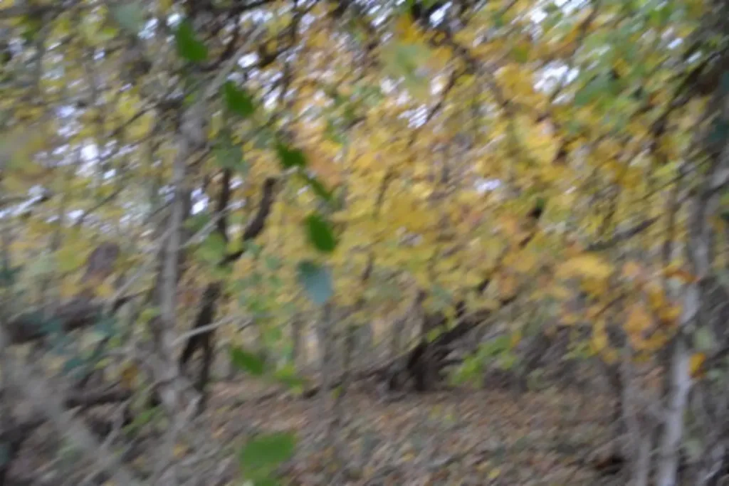 10.70AC Red Oak Ridge Road Celina TN 38551