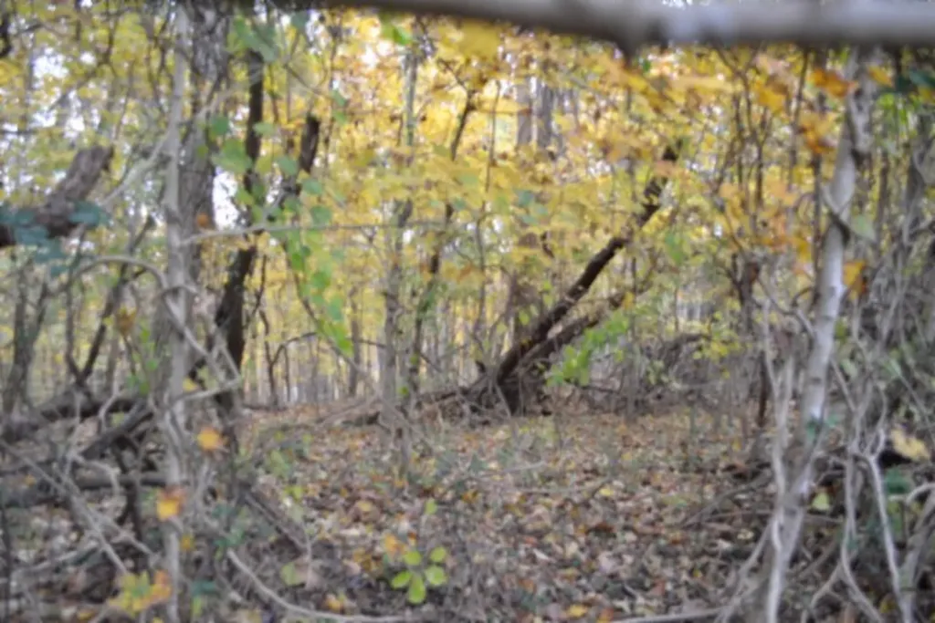 10.70AC Red Oak Ridge Road Celina TN 38551