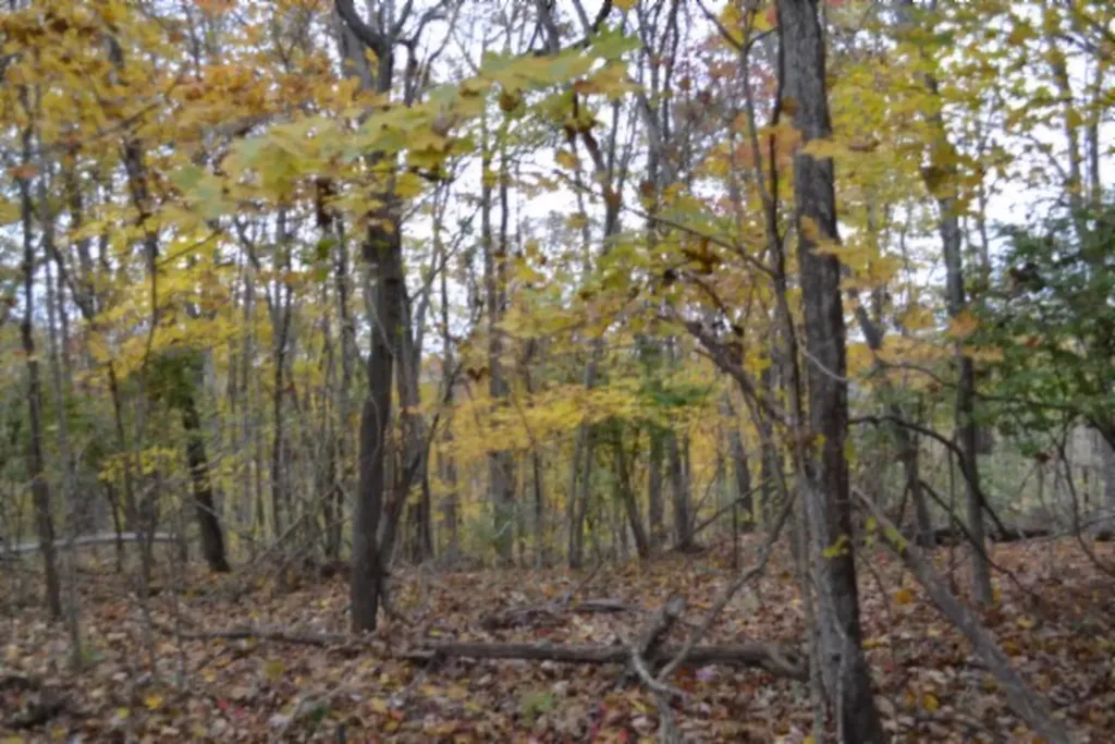 10.70AC Red Oak Ridge Road Celina TN 38551