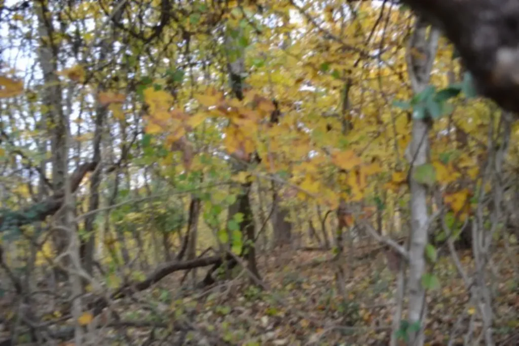 10.70AC Red Oak Ridge Road Celina TN 38551