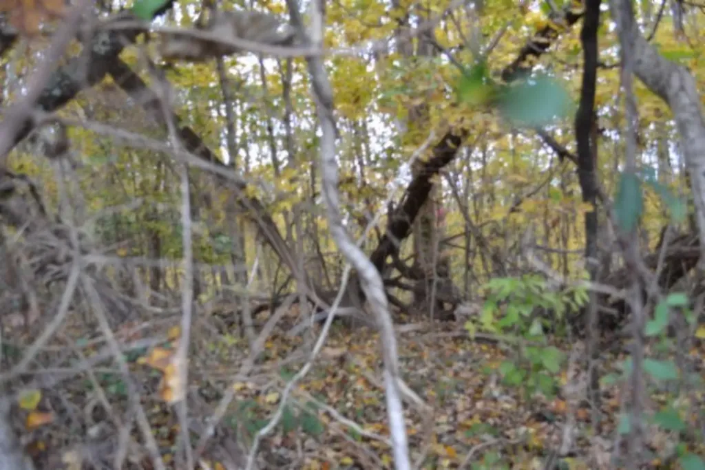 10.70AC Red Oak Ridge Road Celina TN 38551