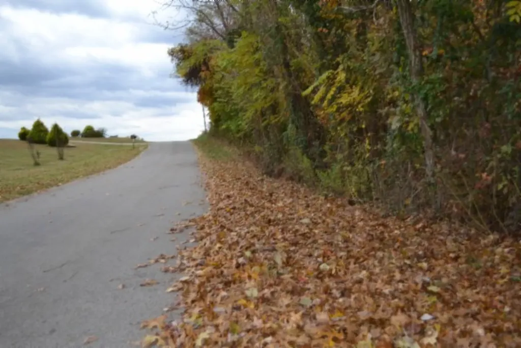 10.70AC Red Oak Ridge Road Celina TN 38551