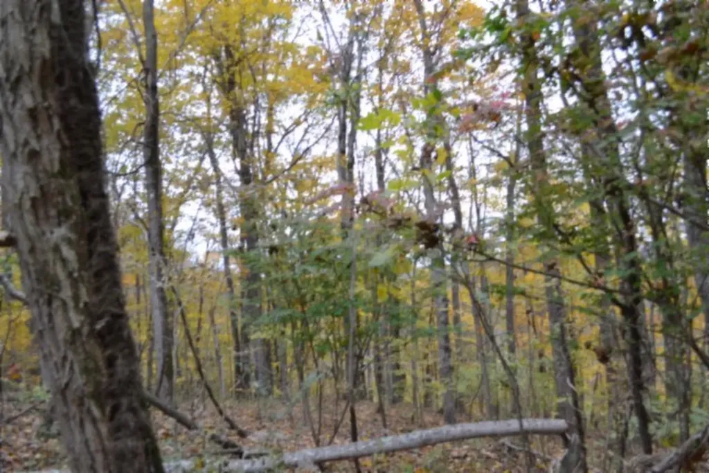 10.70AC Red Oak Ridge Road Celina TN 38551