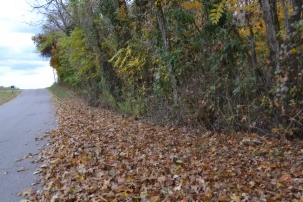 10.70AC Red Oak Ridge Road Celina TN 38551