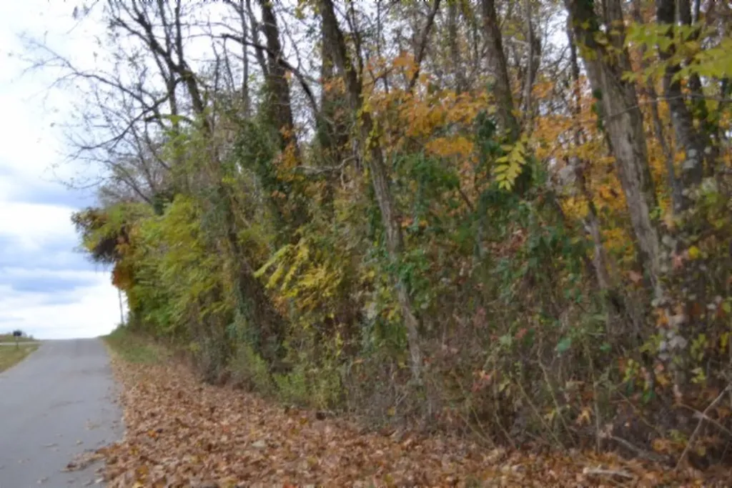 10.70AC Red Oak Ridge Road Celina TN 38551