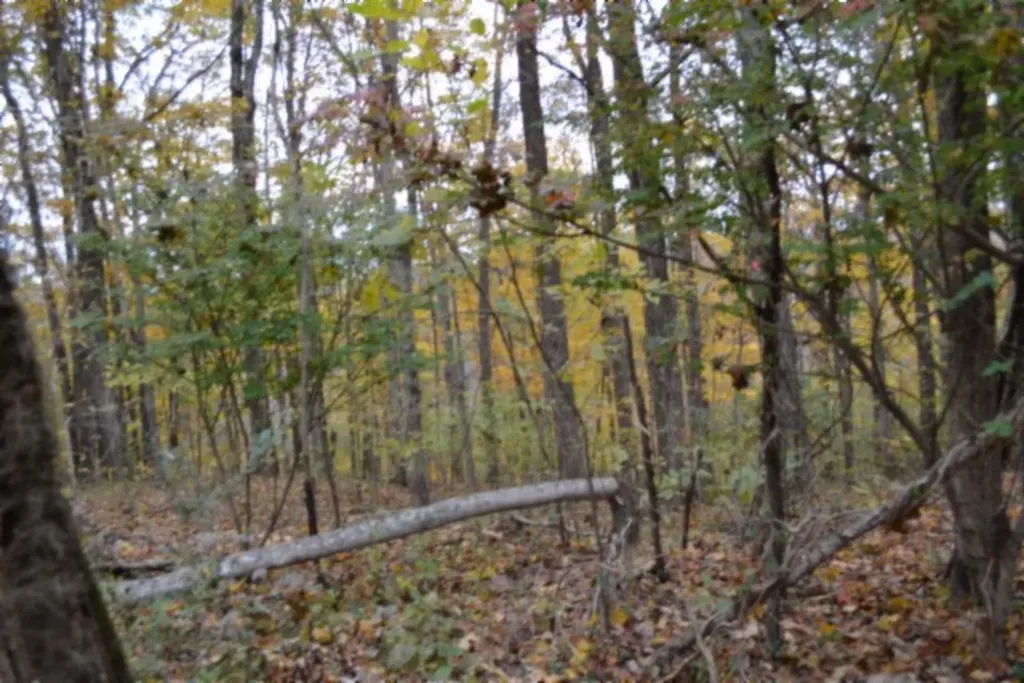 10.70AC Red Oak Ridge Road Celina TN 38551