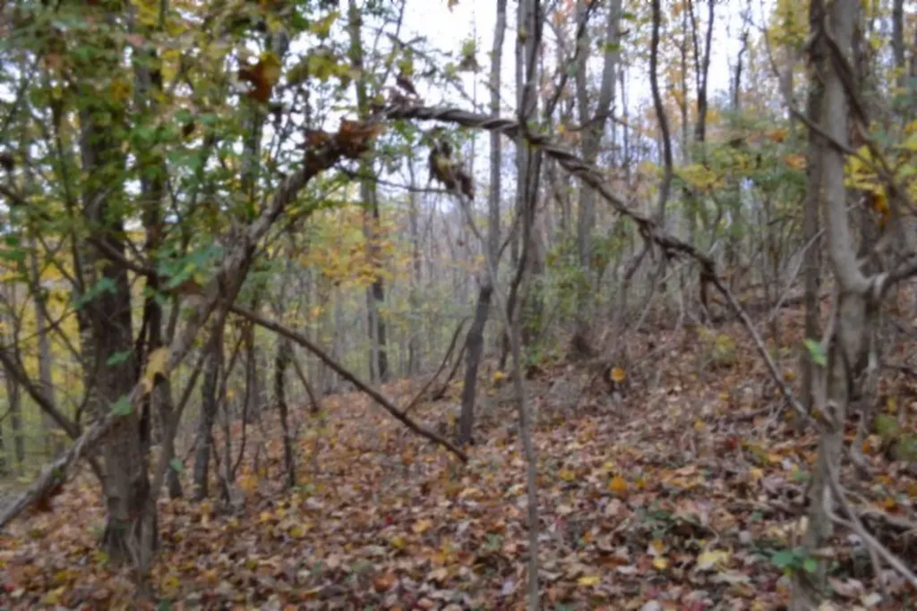 10.70AC Red Oak Ridge Road Celina TN 38551