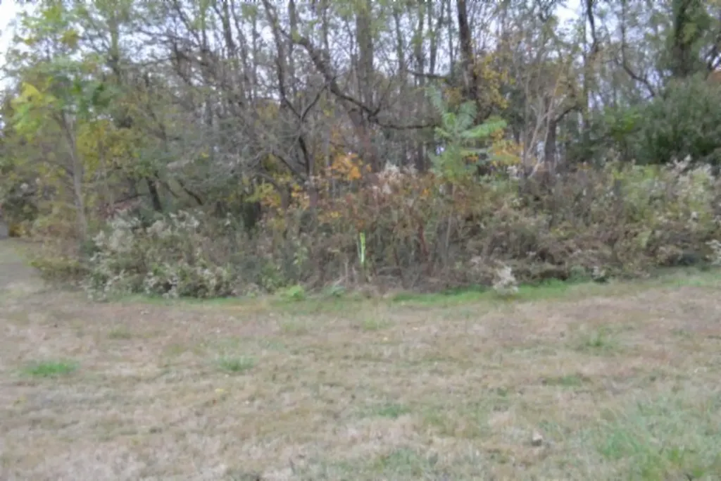 10.70AC Red Oak Ridge Road Celina TN 38551