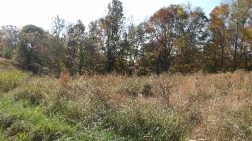 8.60AC Moss Arcot Road Celina TN 38551