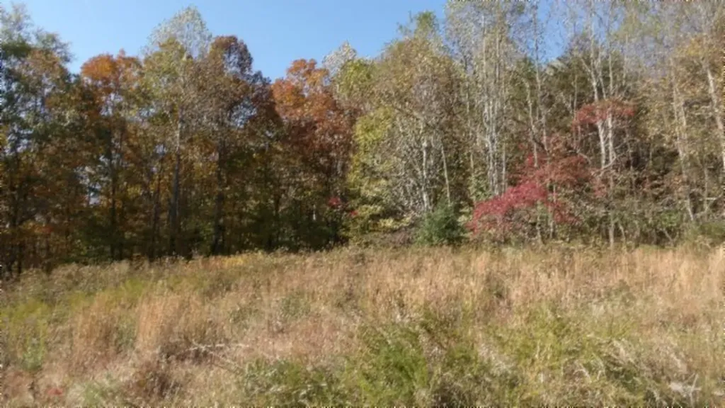 8.60AC Moss Arcot Road Celina TN 38551