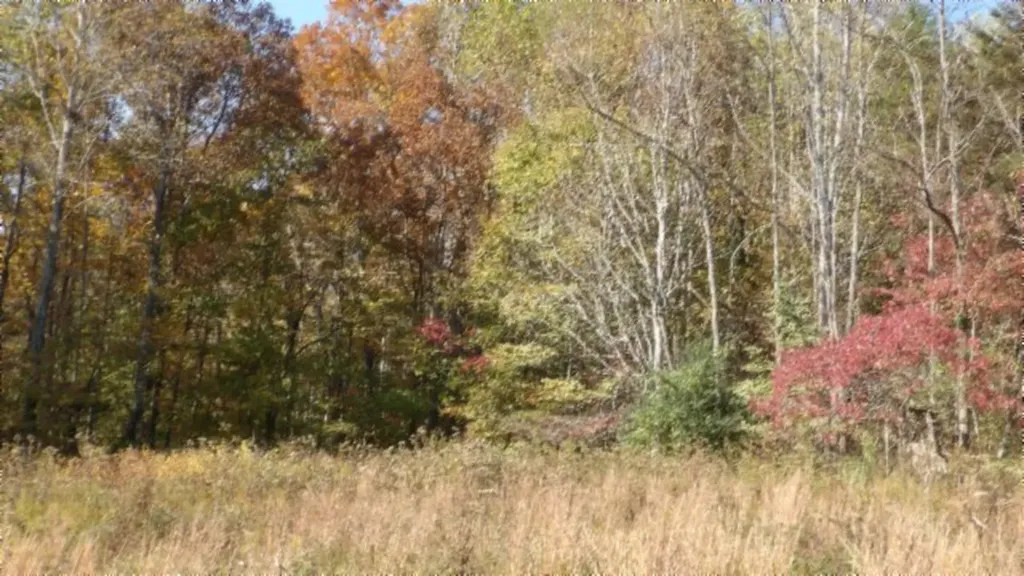 8.60AC Moss Arcot Road Celina TN 38551