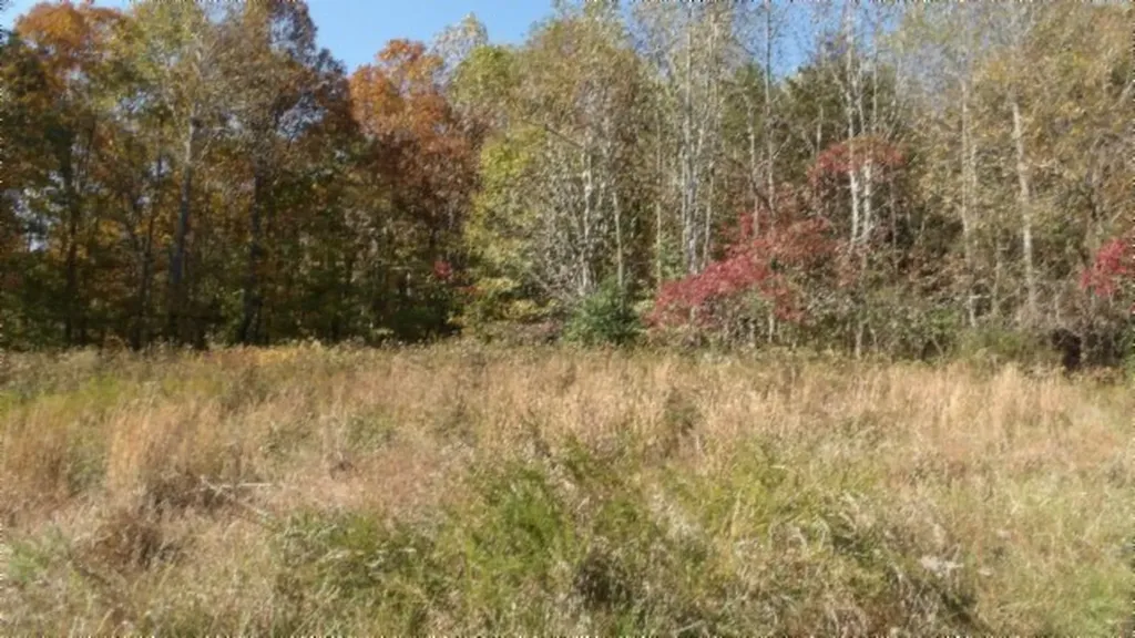 8.60AC Moss Arcot Road Celina TN 38551