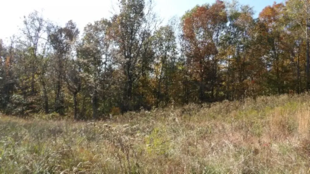 8.60AC Moss Arcot Road Celina TN 38551