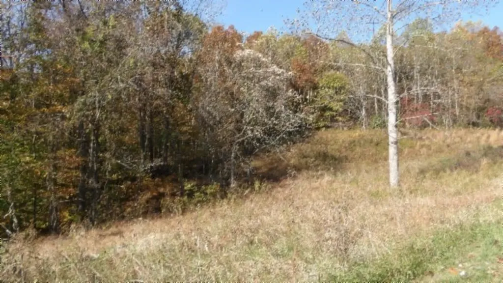 8.60AC Moss Arcot Road Celina TN 38551