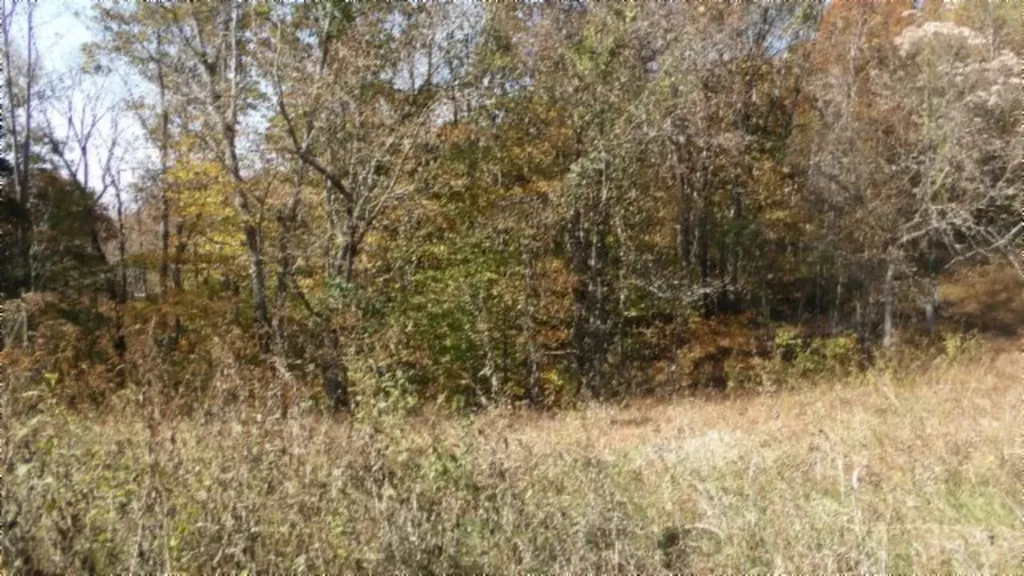 8.60AC Moss Arcot Road Celina TN 38551