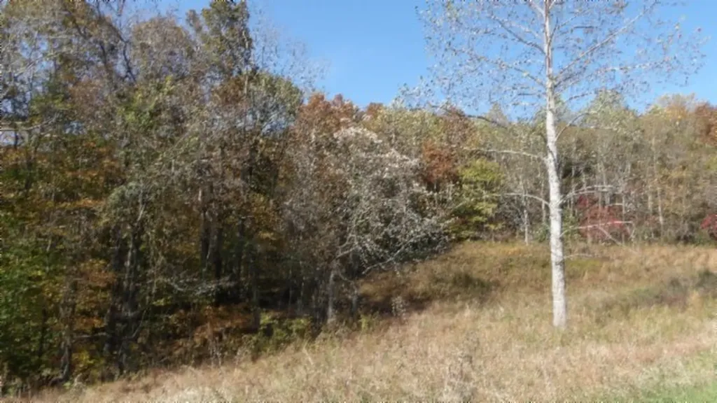 8.60AC Moss Arcot Road Celina TN 38551