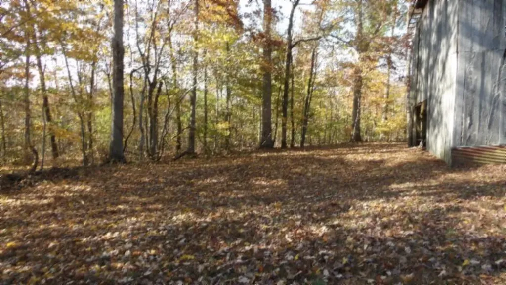 8.60AC Moss Arcot Road Celina TN 38551