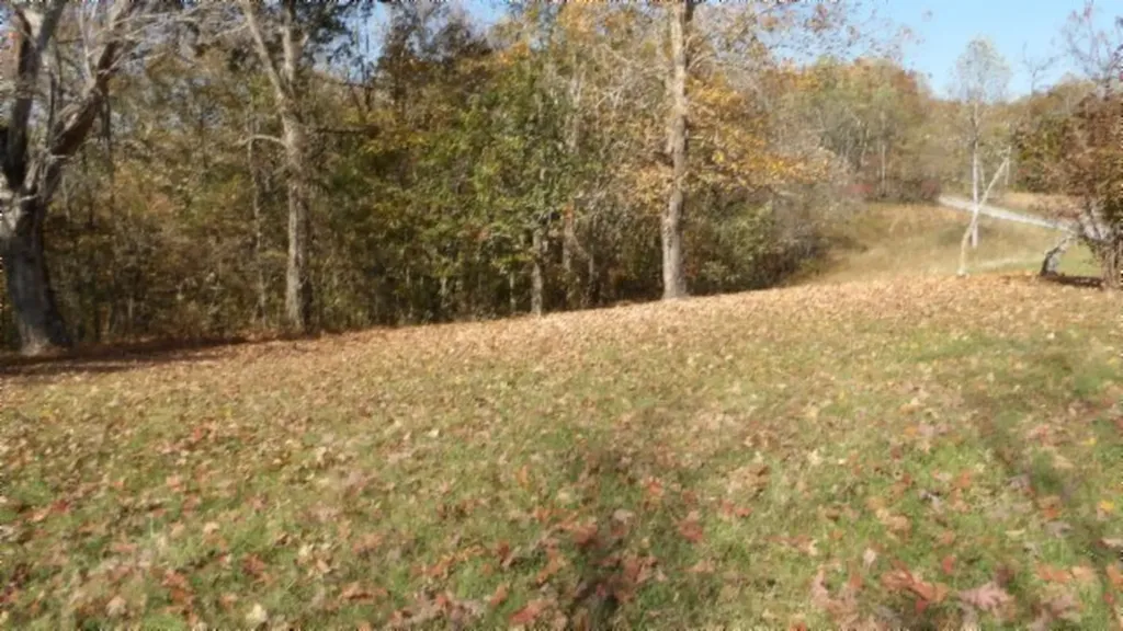 8.60AC Moss Arcot Road Celina TN 38551